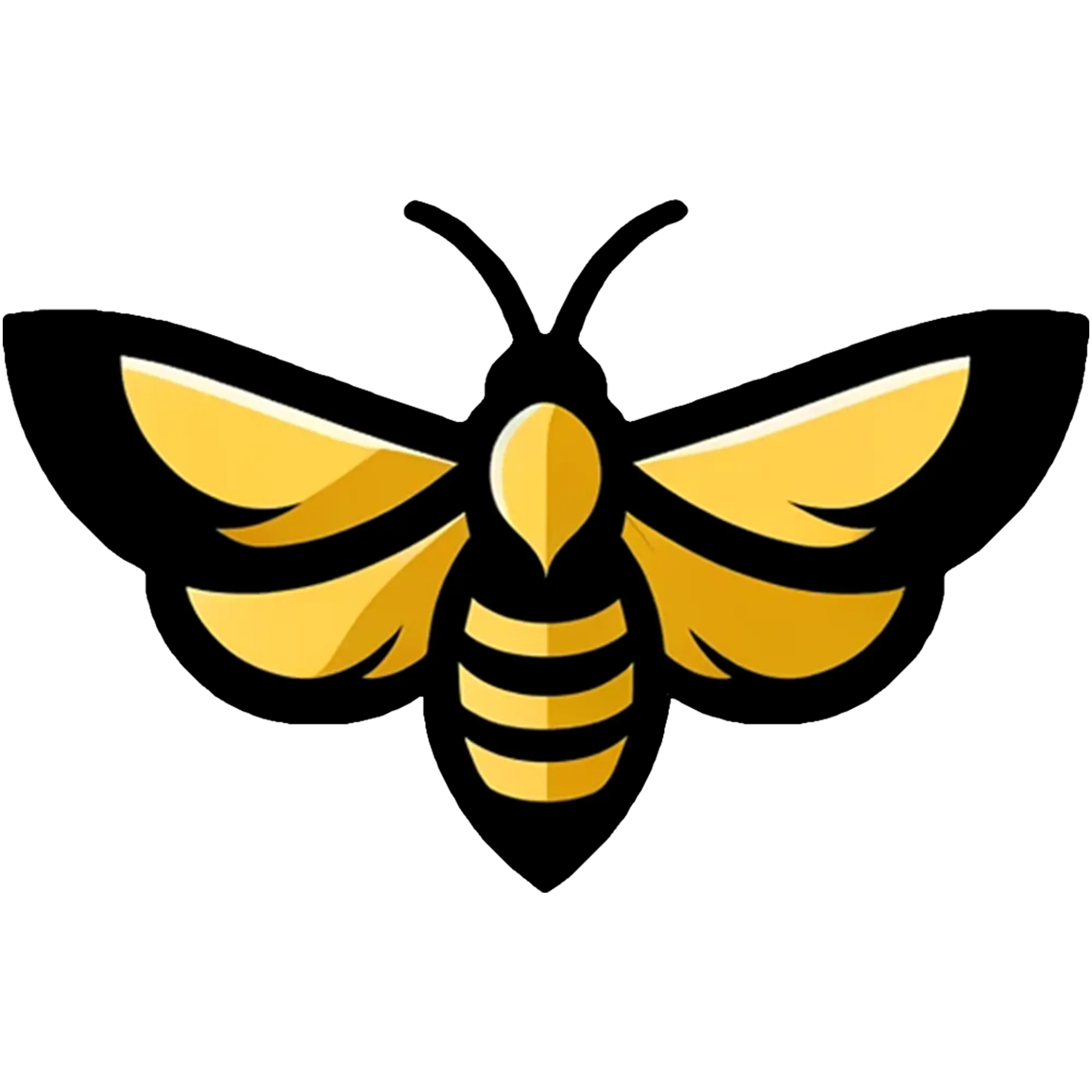 moth development services logo